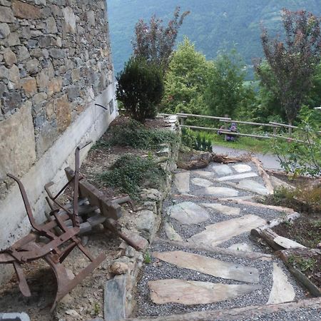 Agriturismo Al Castagneto Villa Mazzo di Valtellina Luaran gambar