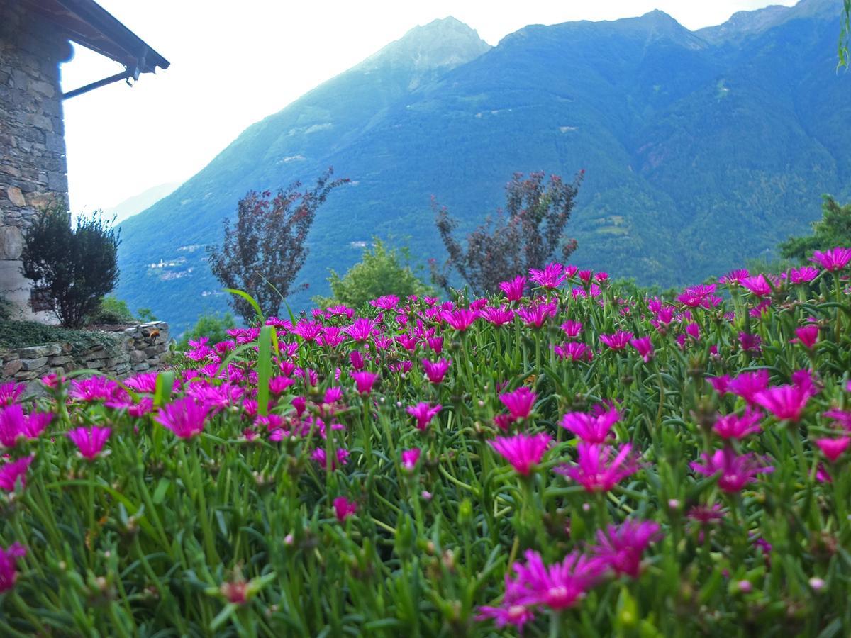 Agriturismo Al Castagneto Villa Mazzo di Valtellina Luaran gambar