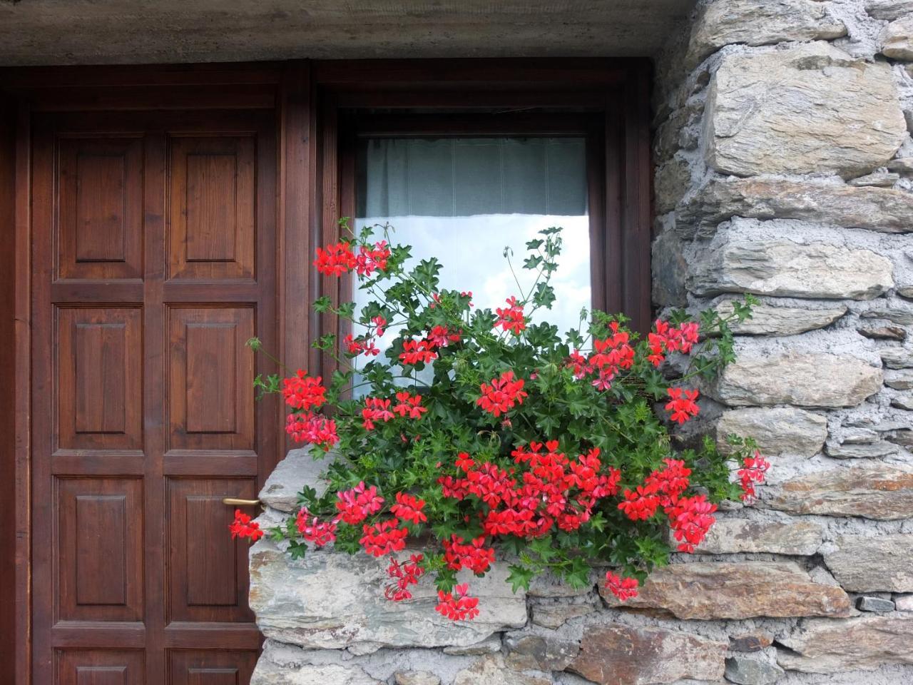 Agriturismo Al Castagneto Villa Mazzo di Valtellina Luaran gambar