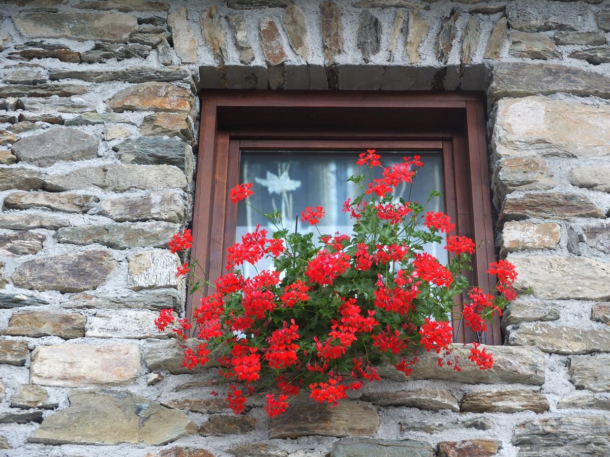 Agriturismo Al Castagneto Villa Mazzo di Valtellina Luaran gambar